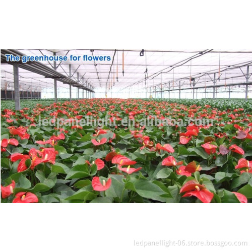 2016 professional indoor hydroponic systems high lumen 1000w LED grow light replace HPS 1500w